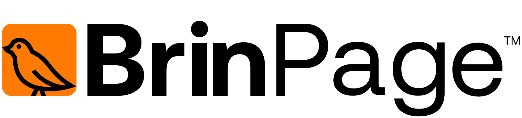 Logo Brinpage